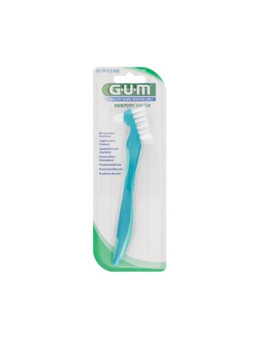 Gum Brush for Dental Prosthesis